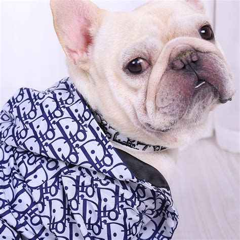 dior dog jacket